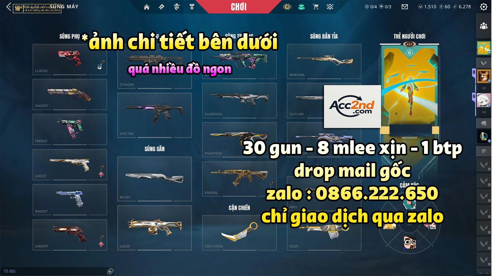 Account Preview