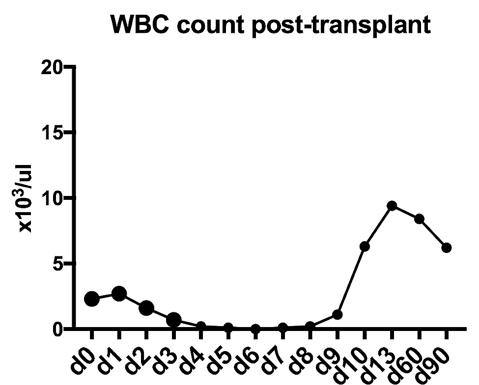 Characteristics of HPC(A) product obtained from a donor with SARS-CoV-2 infection and outcome of autologous transplant
