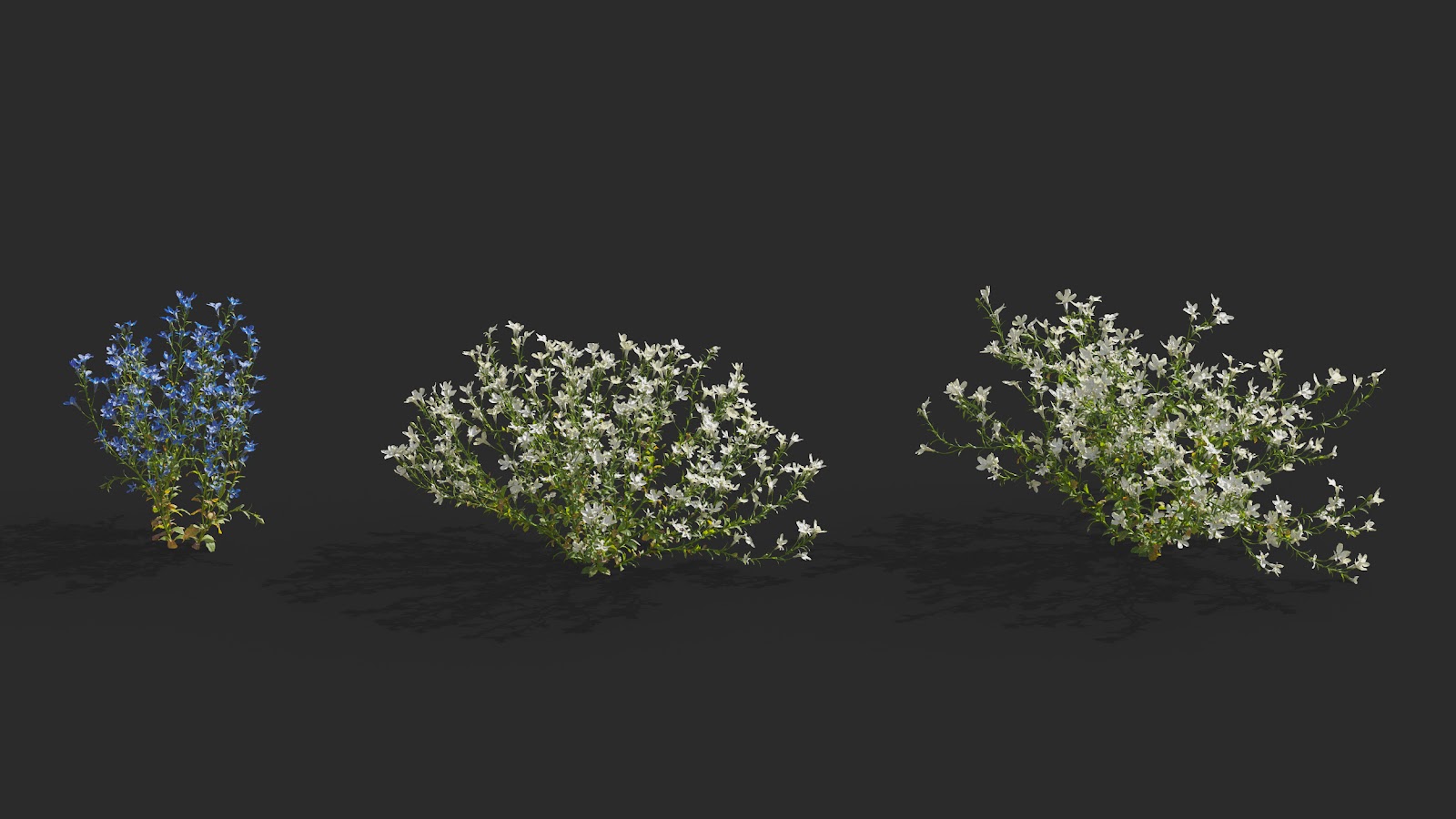 Maxtree - Plant Models Vol.64