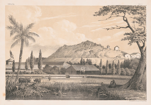 Santa Lucia 1855