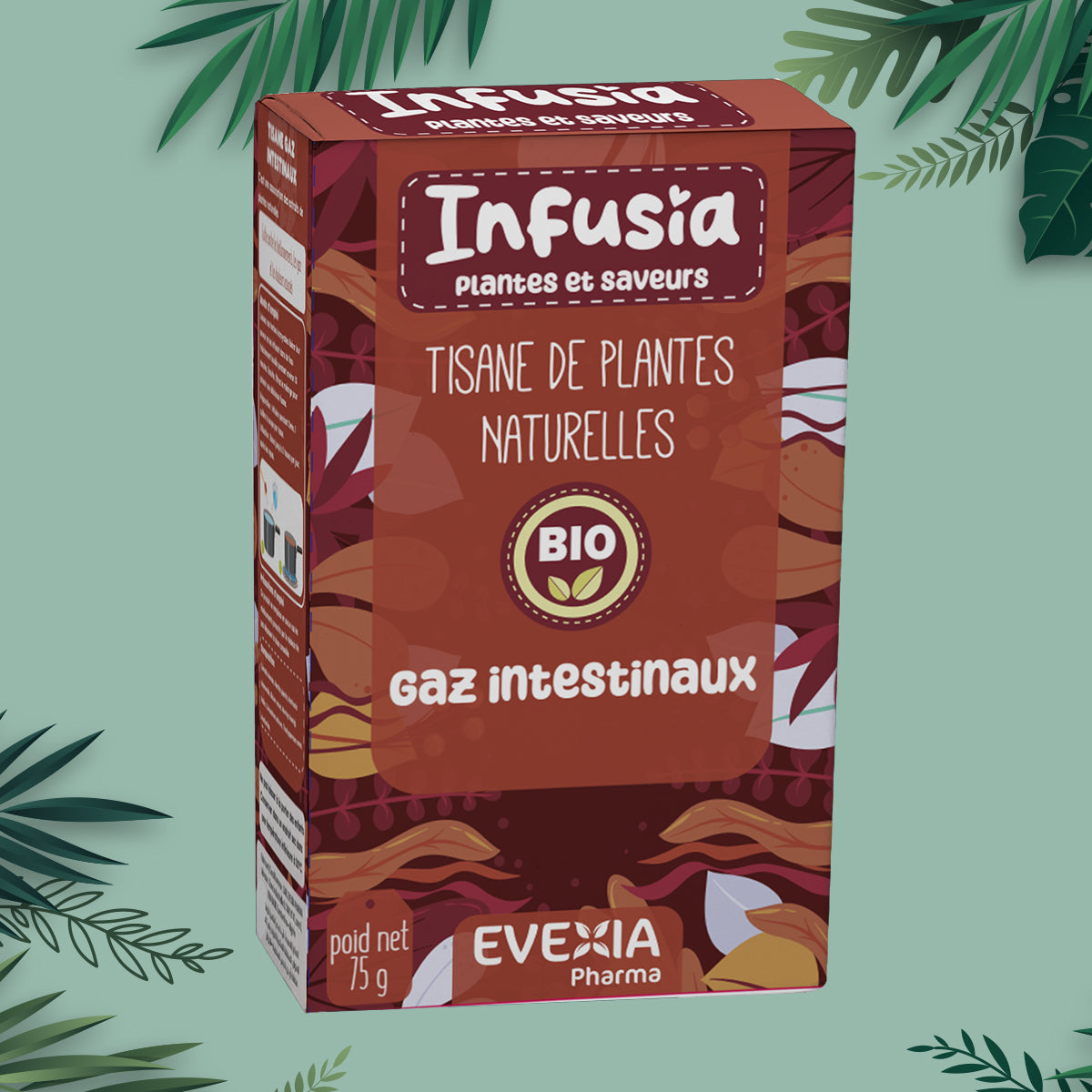 GAZ TISANE EVEXIA