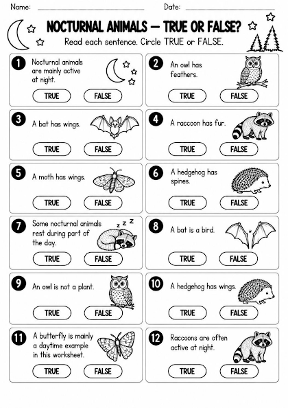 Nocturnal Animal True or False Worksheet