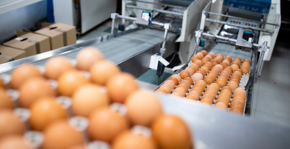 เทคโนโลยีการแปรรูปอาหาร