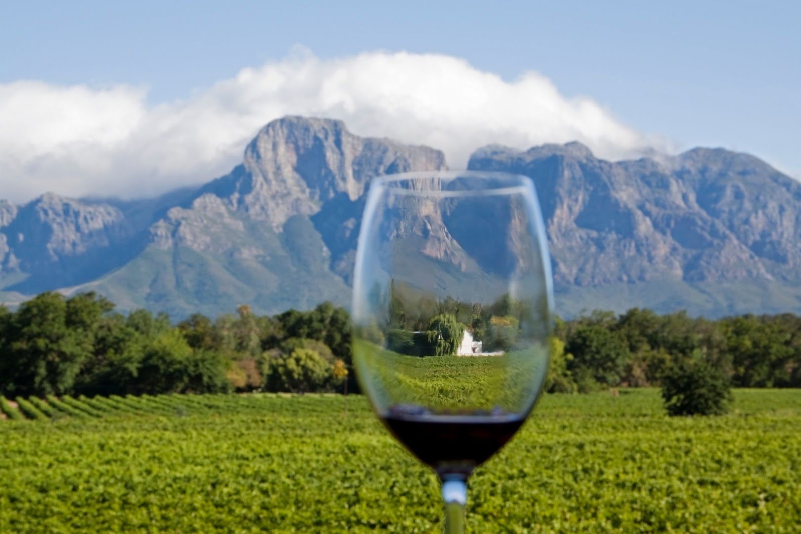South Africa Wine Region