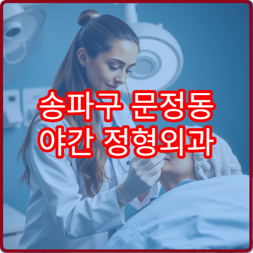 송파구 문정동 야간 정형외과 진료 병원 근골격계 통증 치료 안내