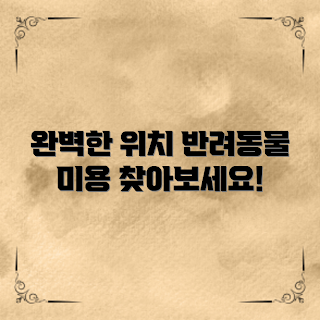 반려동물미용샵위치, 애완동물미용, 반려동물미용샵, 미용샵추천, 반려동물관리