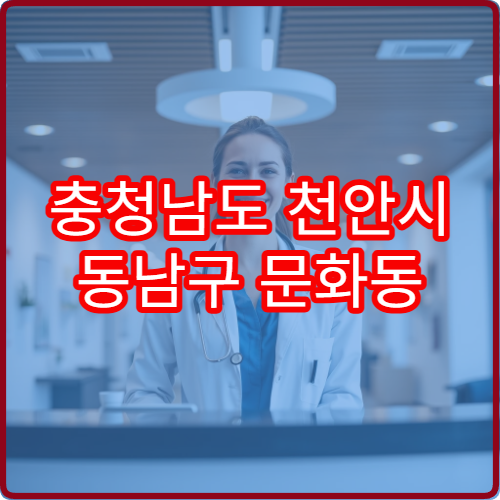충청남도 천안시 동남구 문화동 설날 명절 연휴 휴일 운영 약국 안내