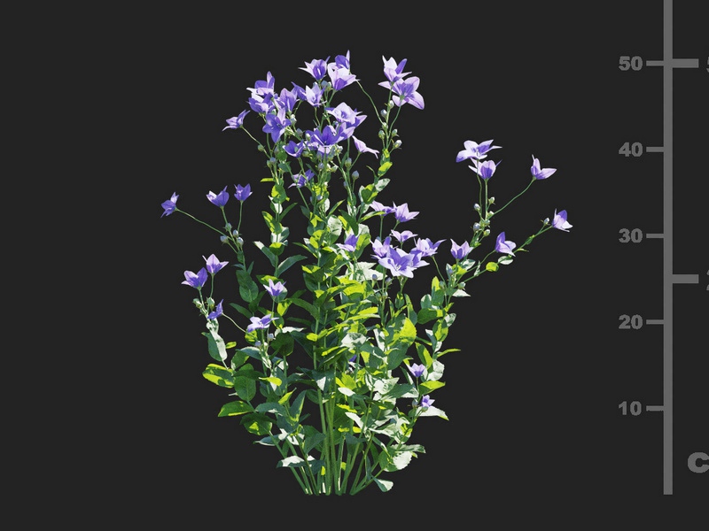 Maxtree - Plant Models Vol.112