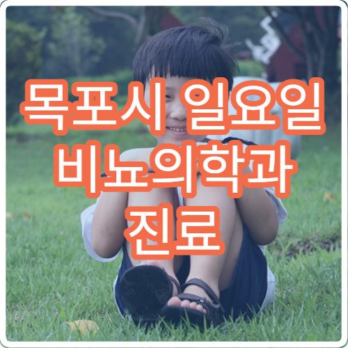 목포시 일요일 비뇨의학과 진료 병원 – 요로감염, 배뇨 장애 주말 응급 진료 병원