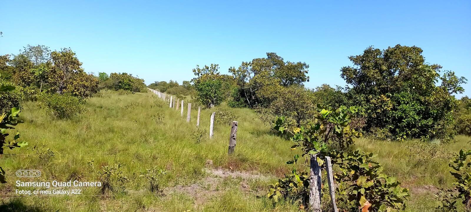 Fazenda em Agua Boa-MT 6