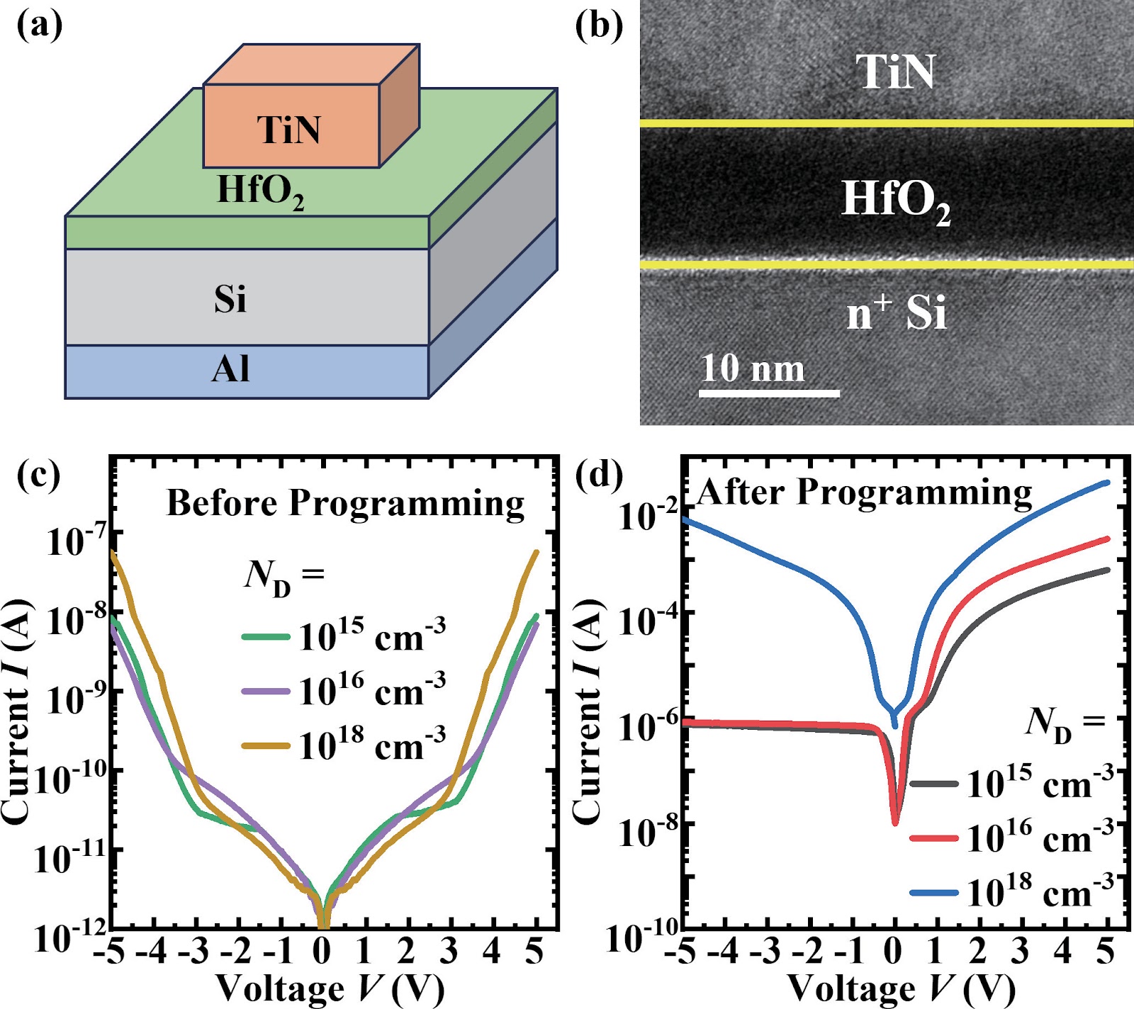 Transport Mechanism of Oxide-Based Programmable Diode