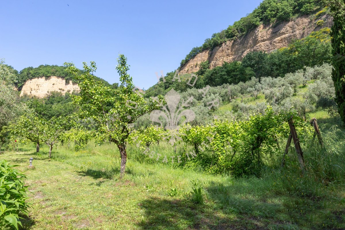 הבית מאחורי הגבעה (Il Casale dietro la Collina) — 54