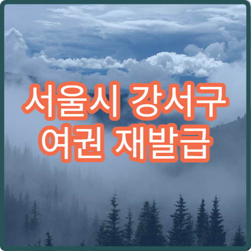 서울시 강서구 여권 재발급 소요기간 신청 방법과 준비 서류 총정리