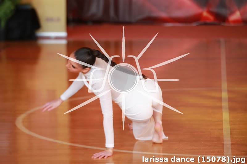larissa dance (15078).jpg