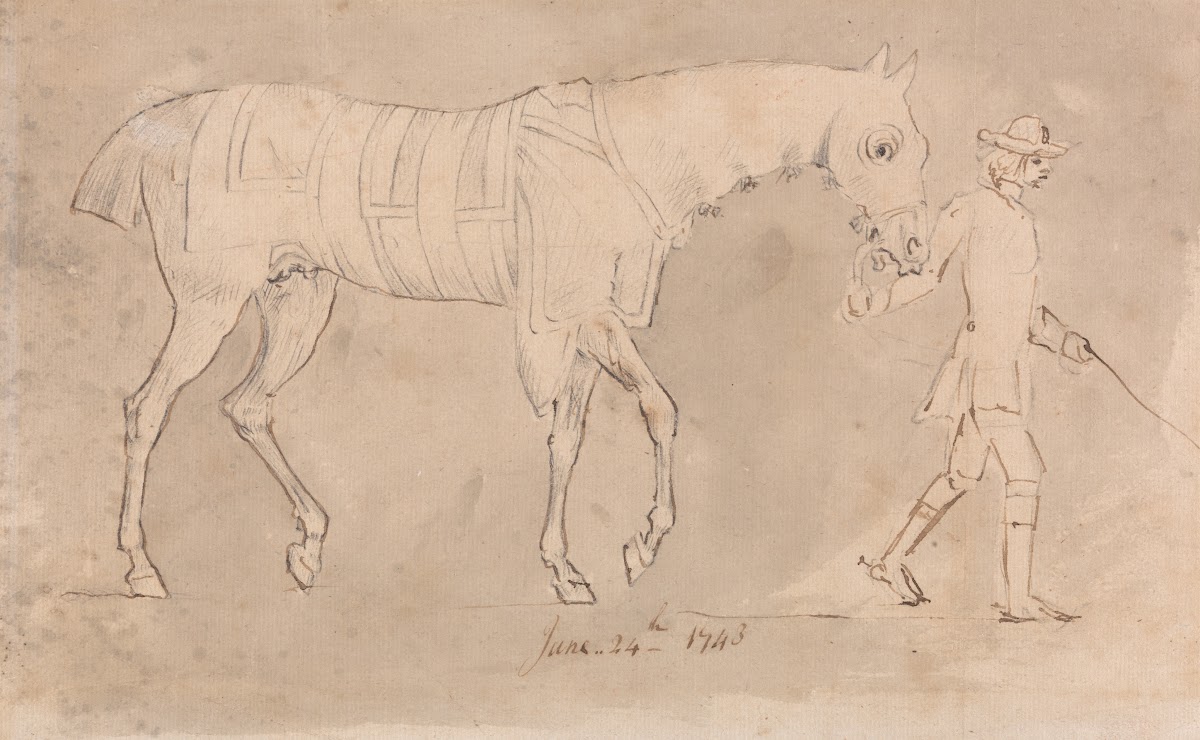 Groom Leading a Racehorse Wearing Hood and Sweaters June 24 1743 1743