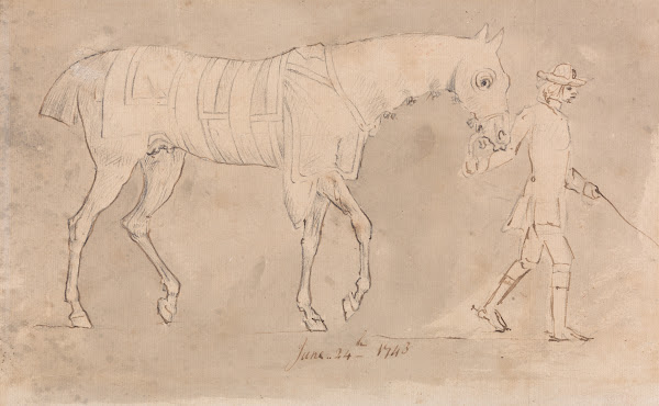 Groom Leading a Racehorse Wearing Hood and Sweaters June 24 1743 1743