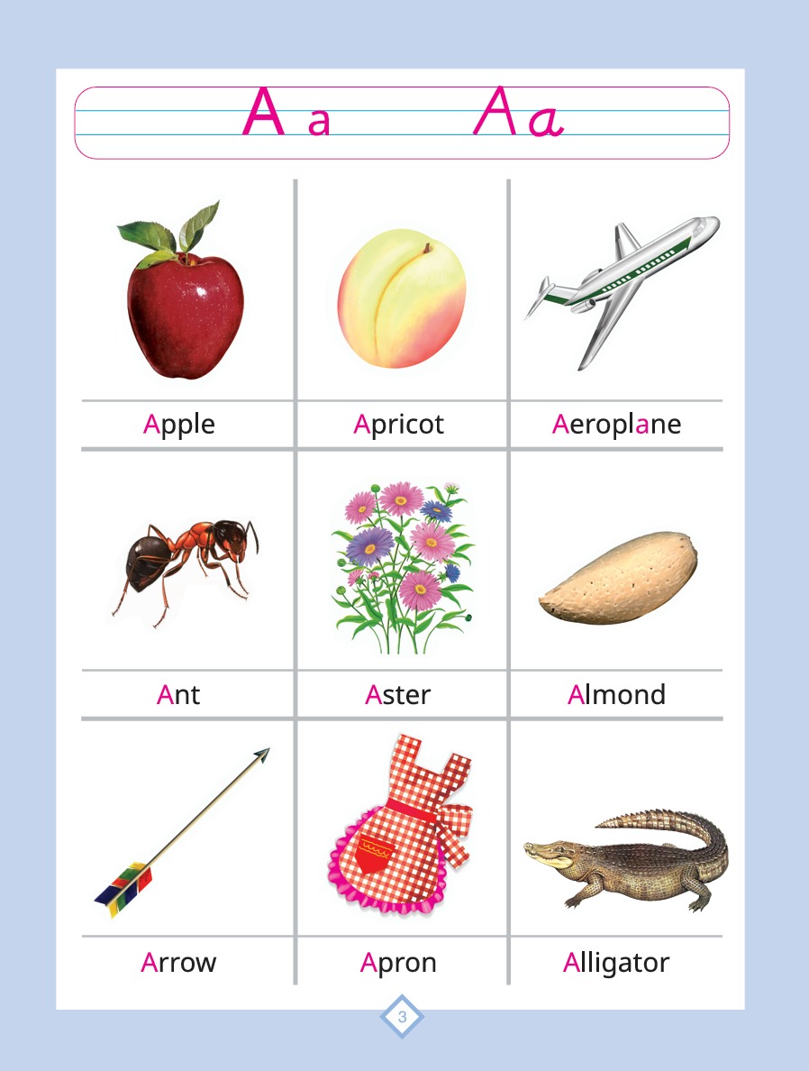 English Kids Class C