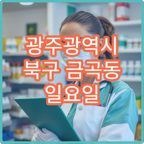 광주광역시 북구 금곡동 일요일 문 여는 약국 진통제 판매