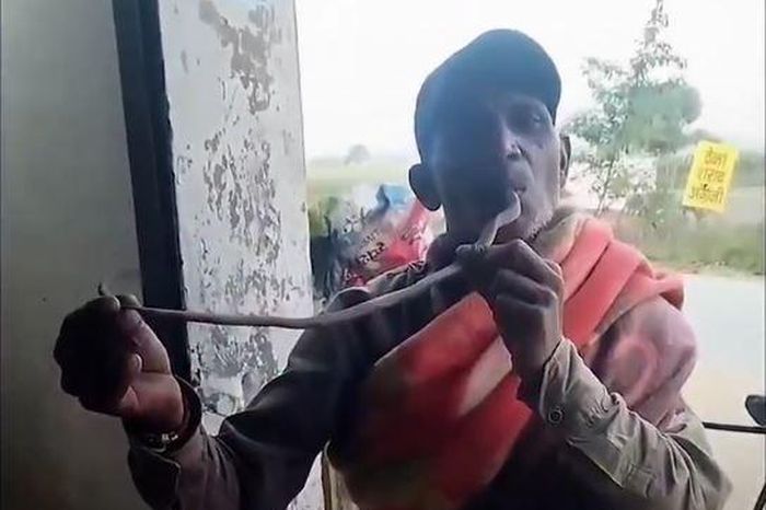 Người đàn ông ngậm đầu rắn hổ mang trong miệng, tử vong khi bị cắn - Tạp chí Người Đưa Tin