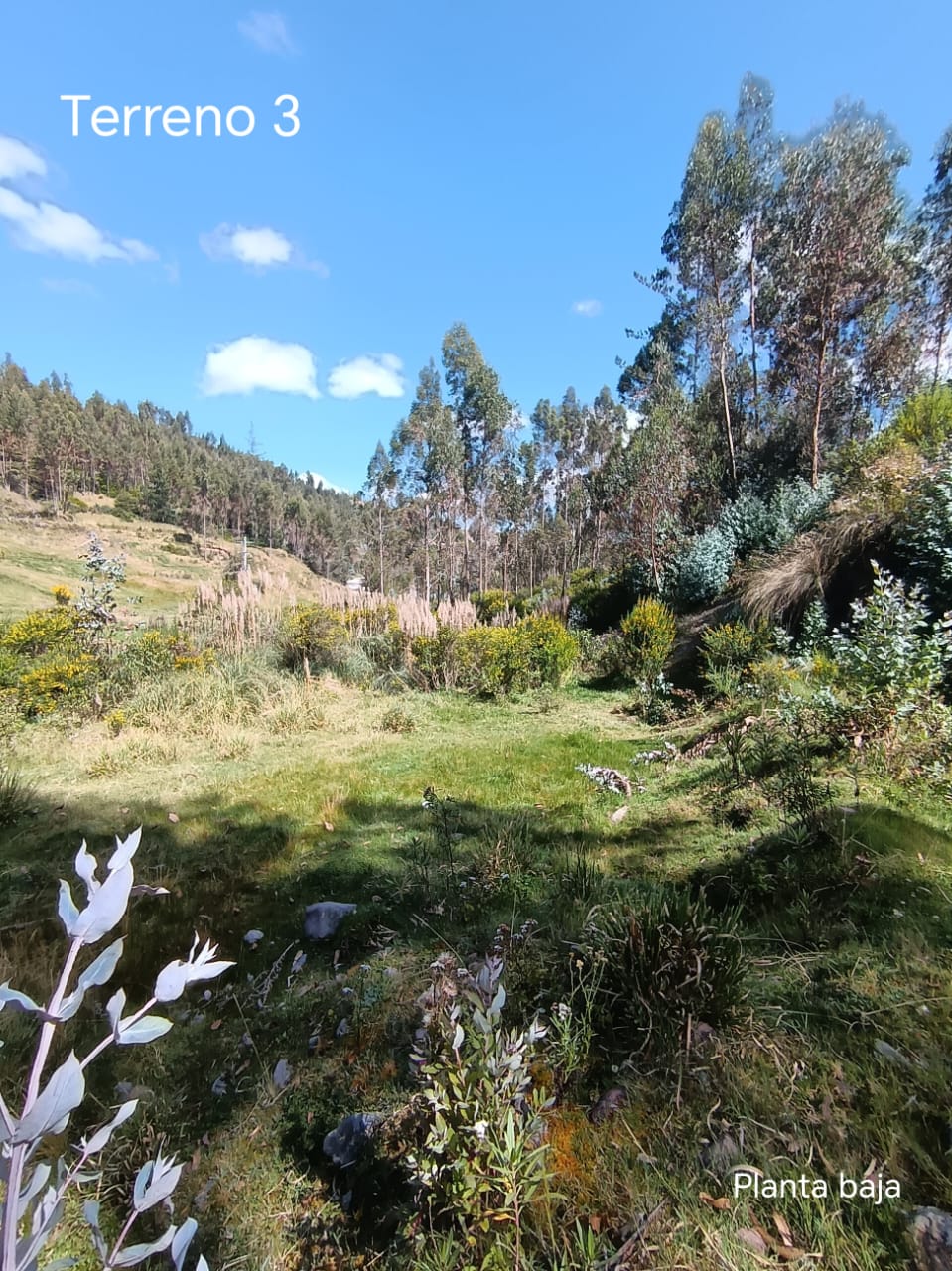 Imagen 6 de Terreno (Modal)