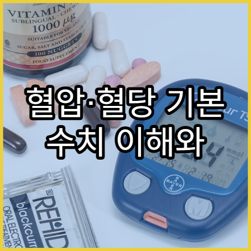혈압·혈당 기본 수치 이해와 관리 팁 초보자용