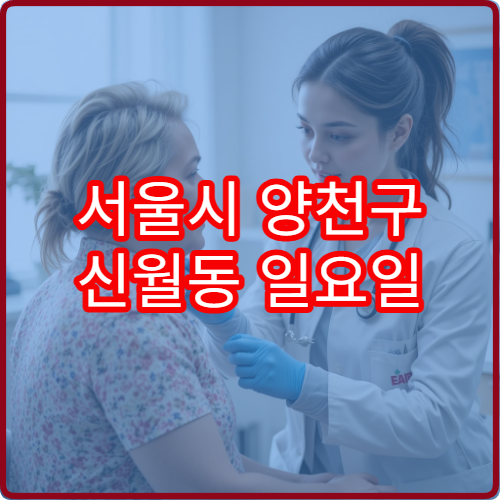 서울시 양천구 신월동 일요일 진료 가능한 피부과 가려움 습진 상담 가이드