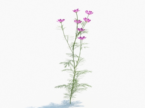 Maxtree - Plant Models Vol.3