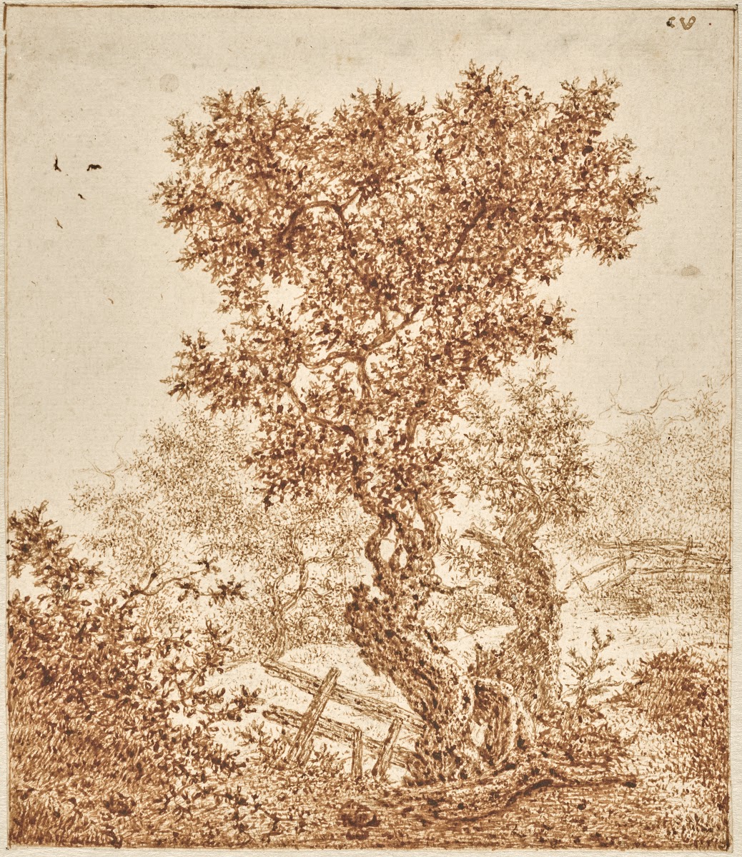 Knotty Old Tree in the Dunes with a Fence 16501670