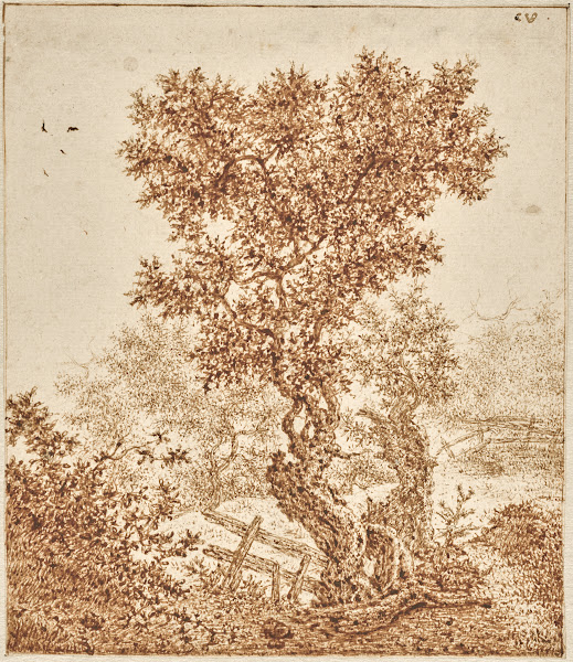Knotty Old Tree in the Dunes with a Fence 16501670