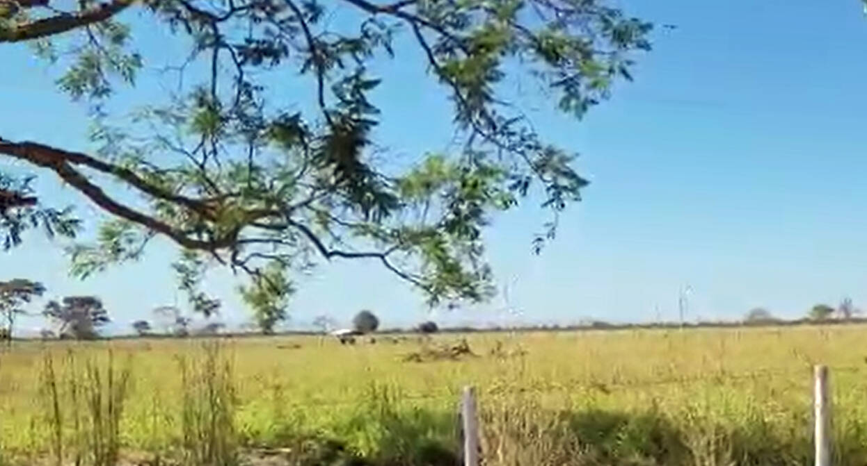 Fazenda em Formosa-GO 7