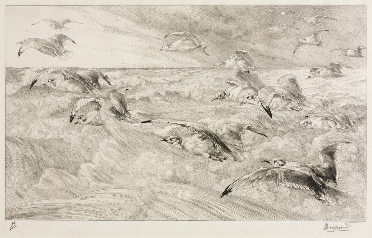 The Seagulls c 1880