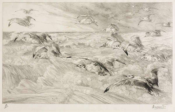 The Seagulls c 1880