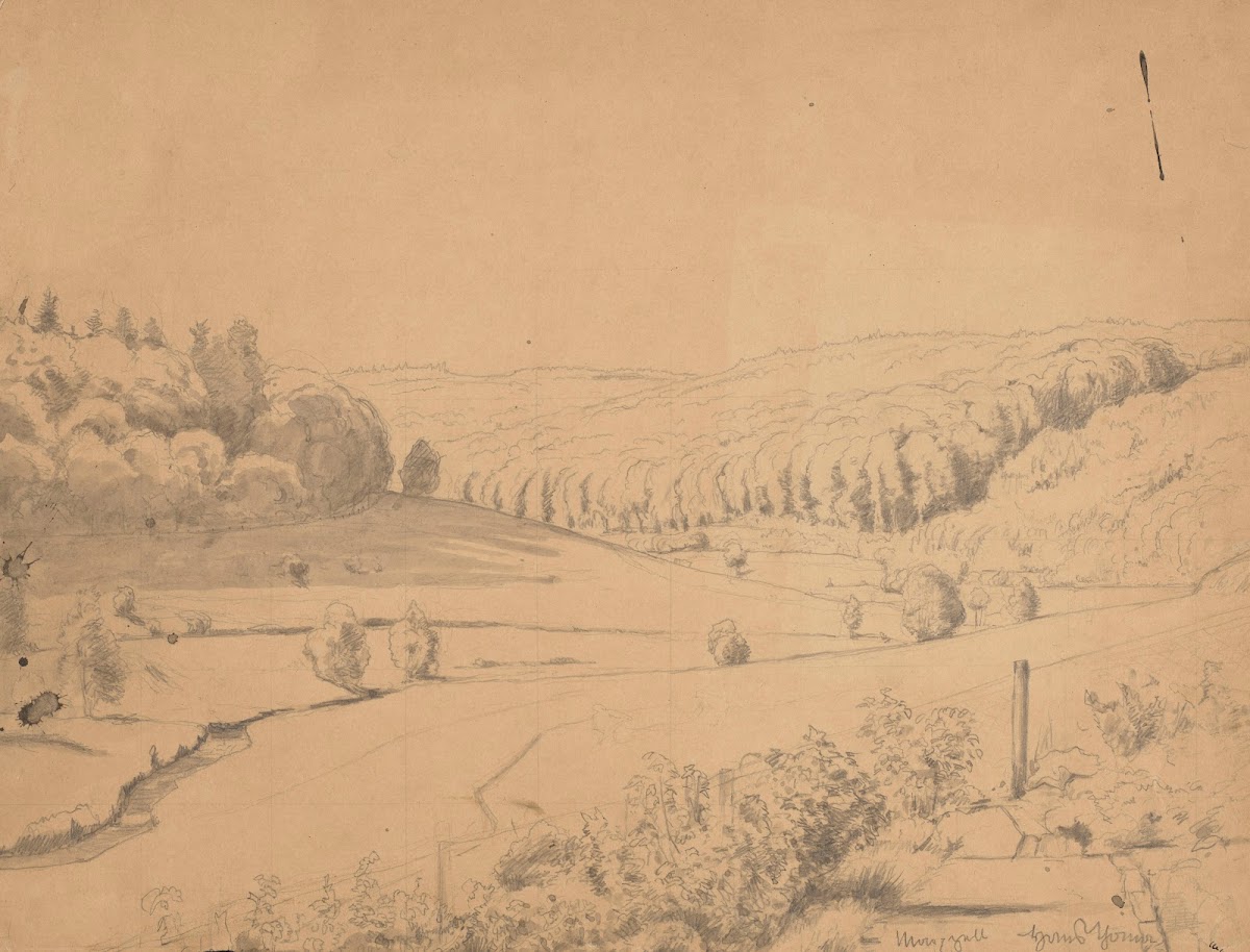 View of a Vast Valley with Slopes Overgrown with Trees 1871