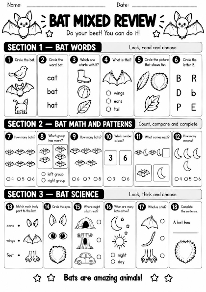 Bat Mixed Review Worksheet
