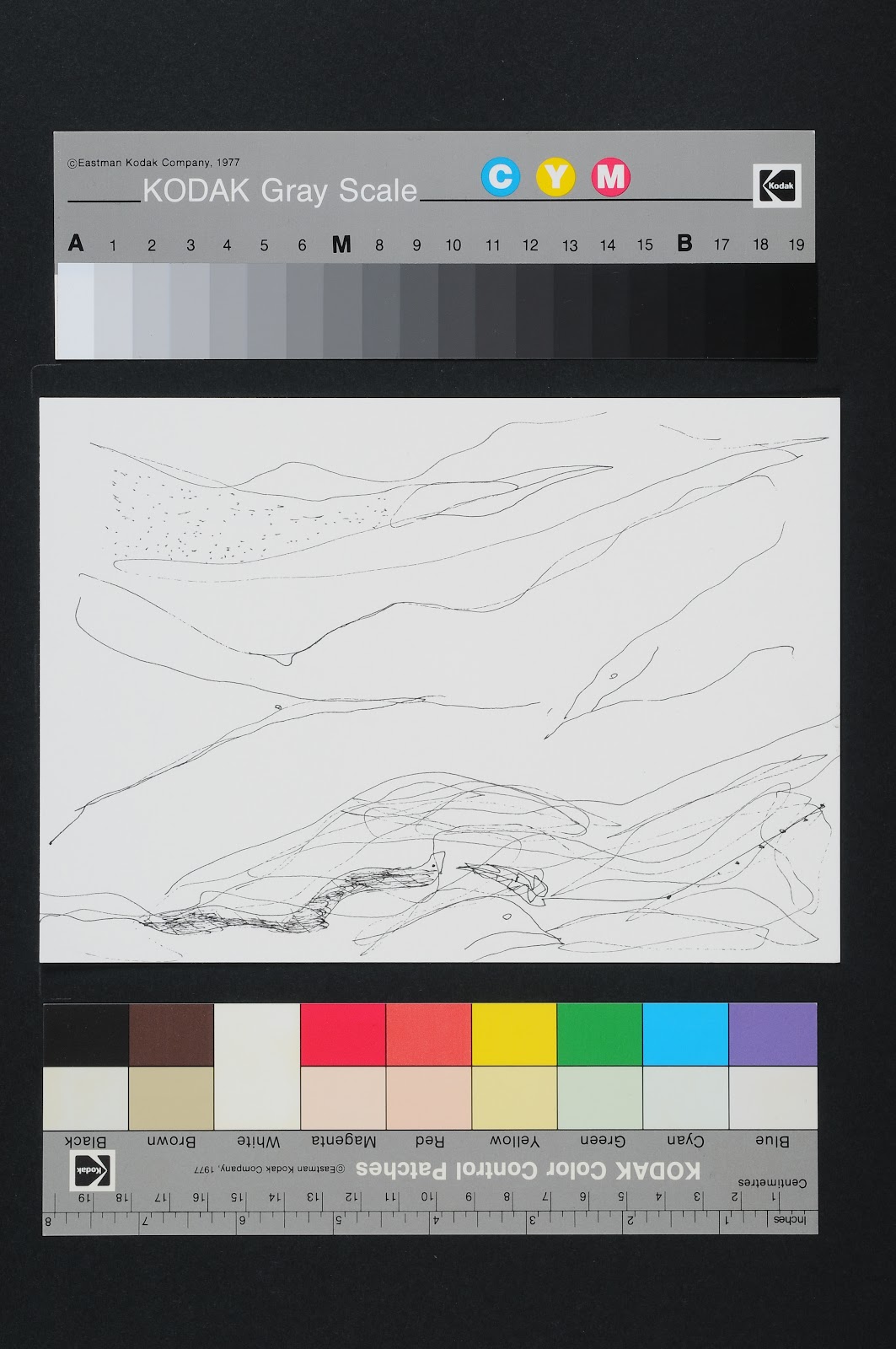 Drawn Poems