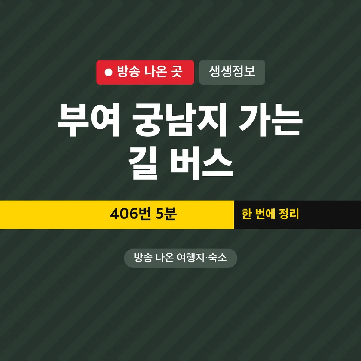 생생정보 부여 궁남지 가는 길 버스, 406번 5분