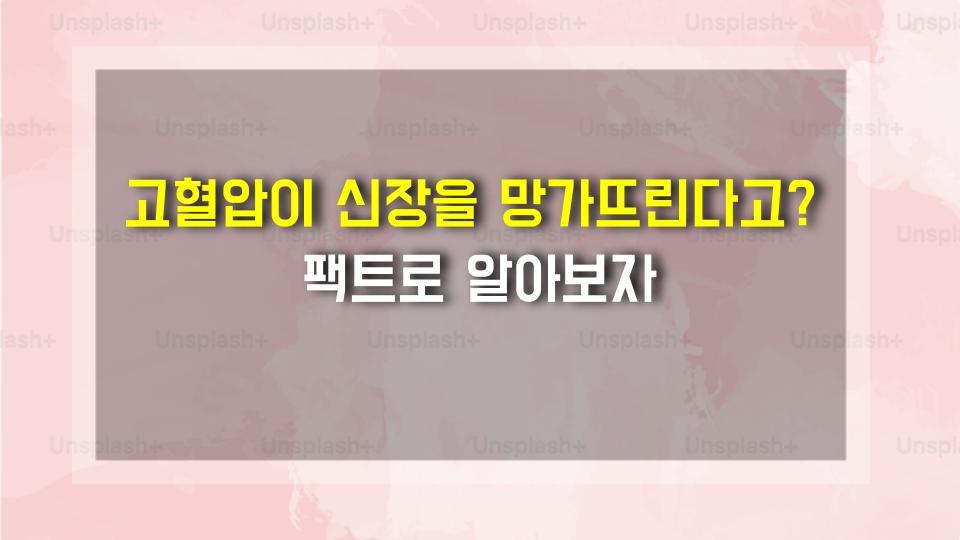 고혈압이 신장을 망가뜨린다고? 팩트로 알아보자