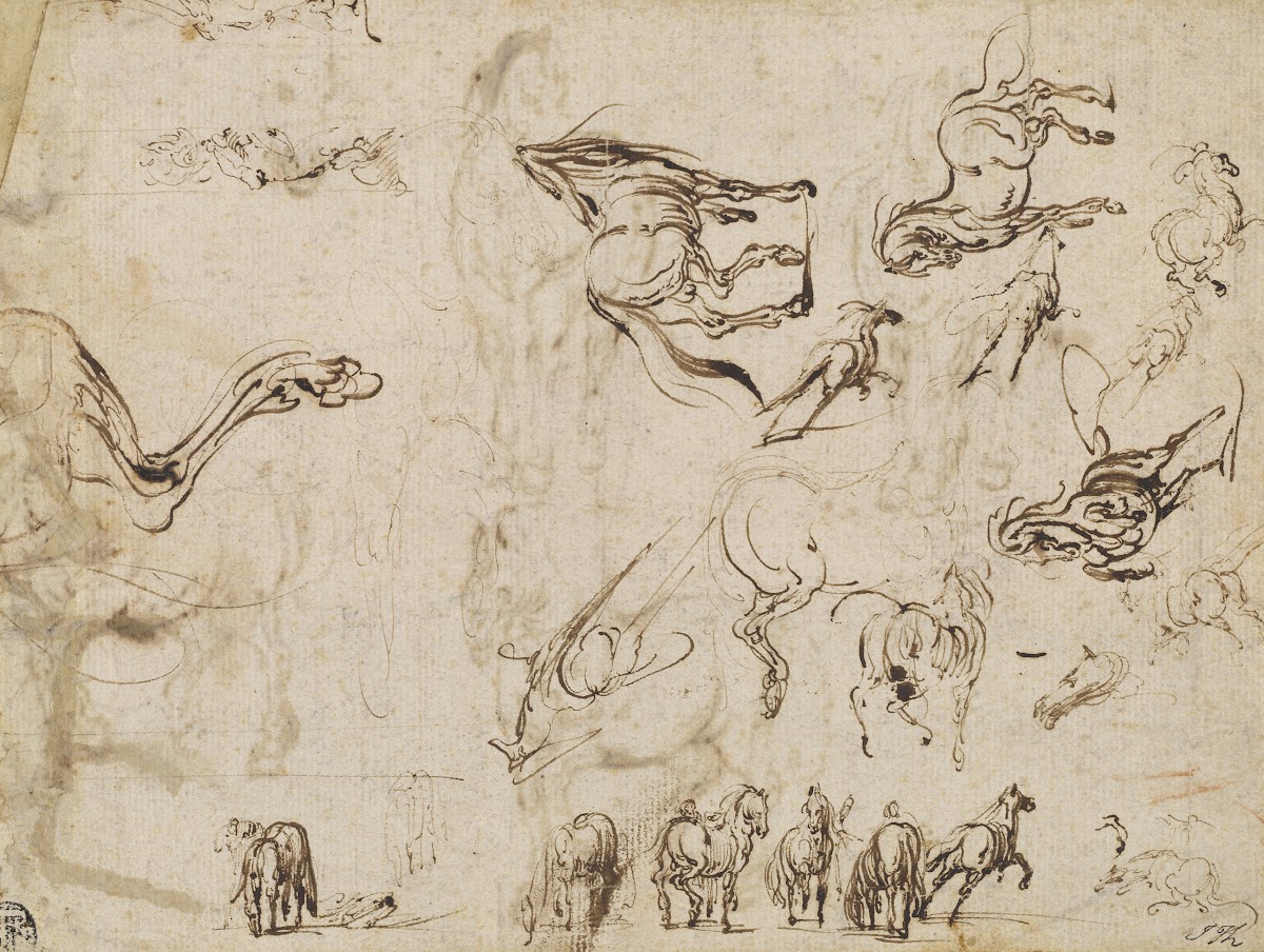 Studies of Horses verso c 1612