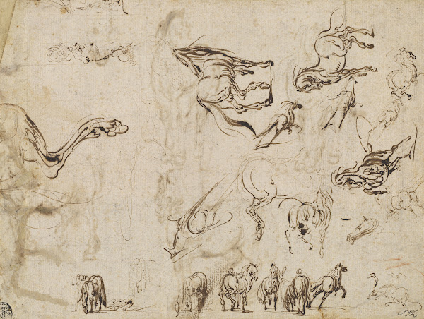 Studies of Horses verso c 1612