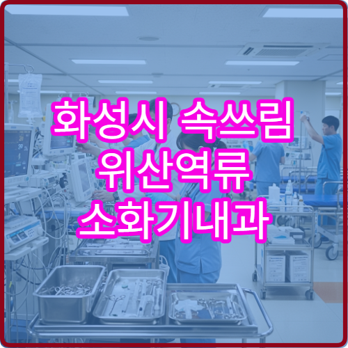 화성시 속쓰림 위산역류 소화기내과 약처방 병원 추천