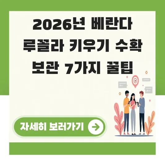 베란다 루꼴라 키우기 수확시기 보관