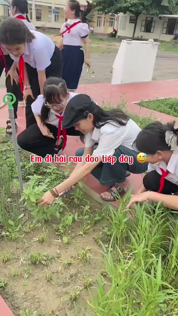 Video thumbnail từ Google Drive