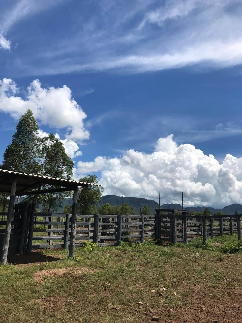 Fazenda em São Francisco-MG 7