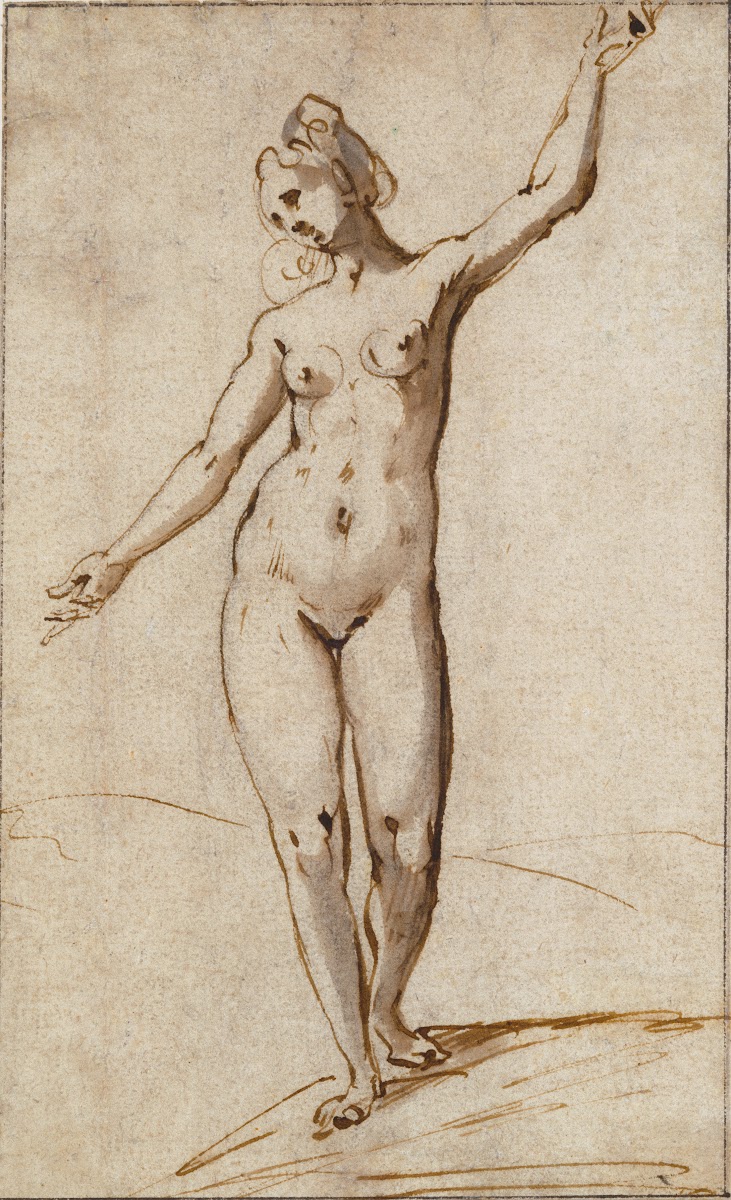 Female Nude 1590