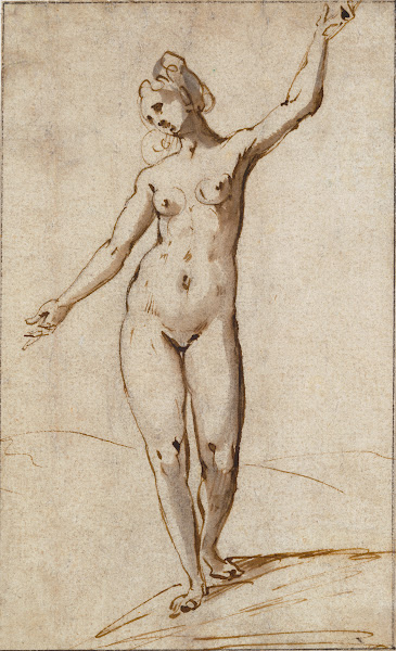 Female Nude 1590