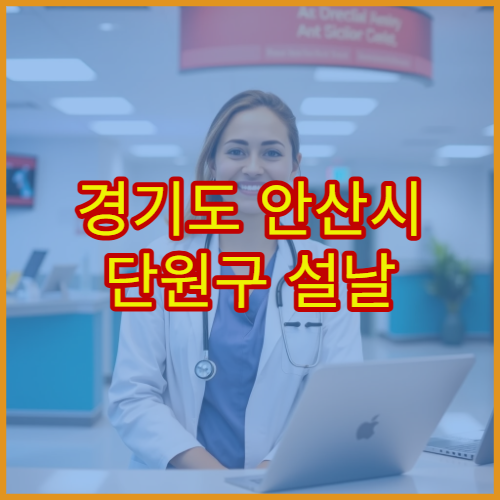 경기도 안산시 단원구 설날 연휴 응급실 병원 단원병원·고대안산병원 감기·위장염·혈압 진료