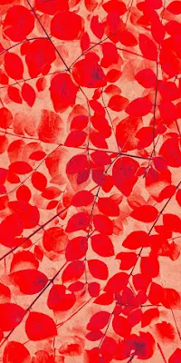 Red Leaves, Foliage, Branch, Nature Full HD iPhone Wallpaper