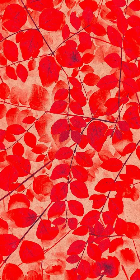 Red Leaves, Foliage, Branch, Nature Full HD iPhone Phone Wallpaper
