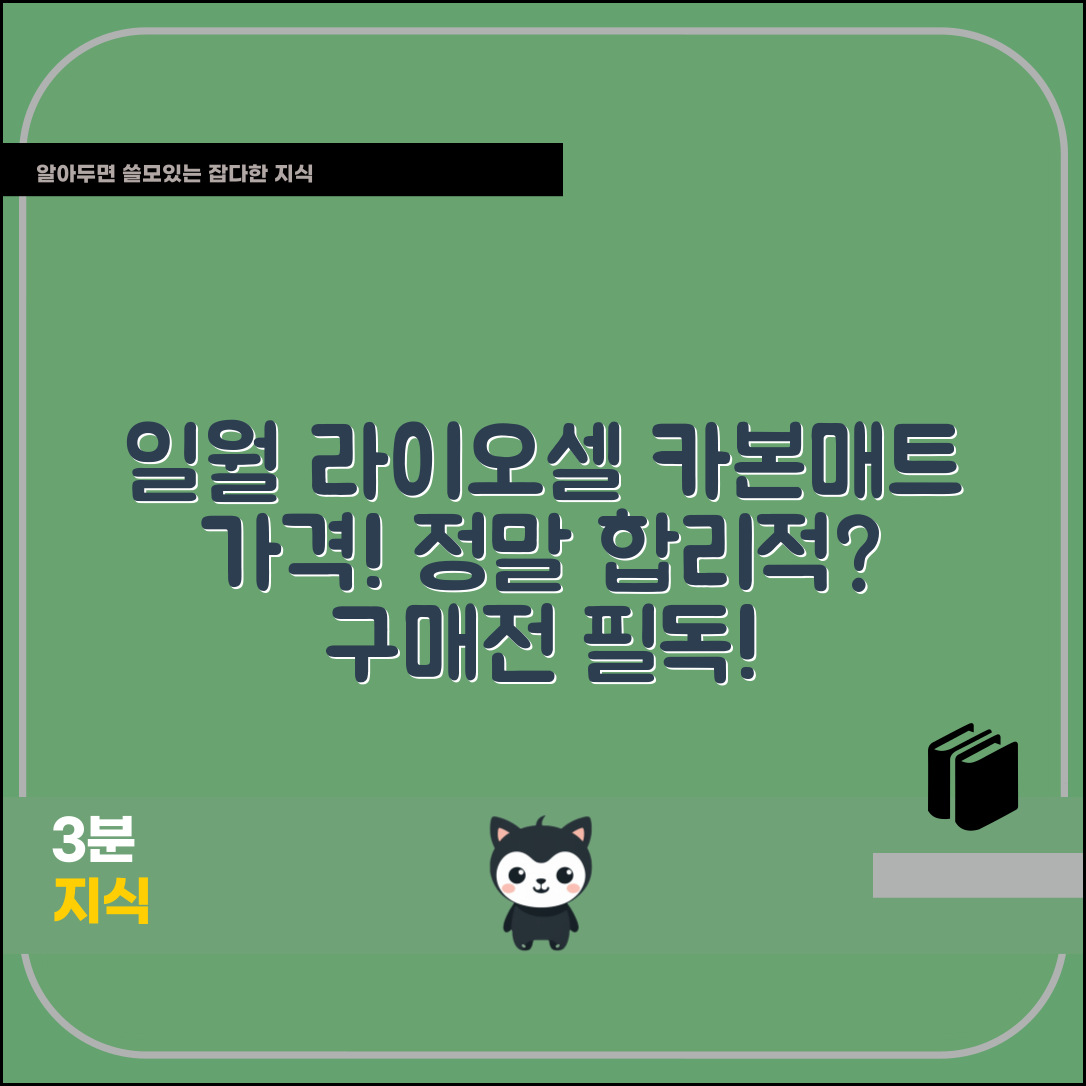 일월라이오셀카본매트 가격, 정말 합리적일까요?