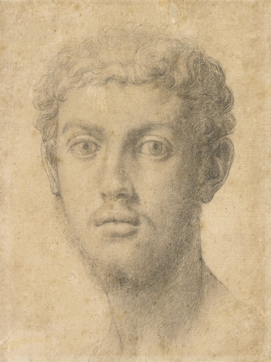 Head of a Man 15501555